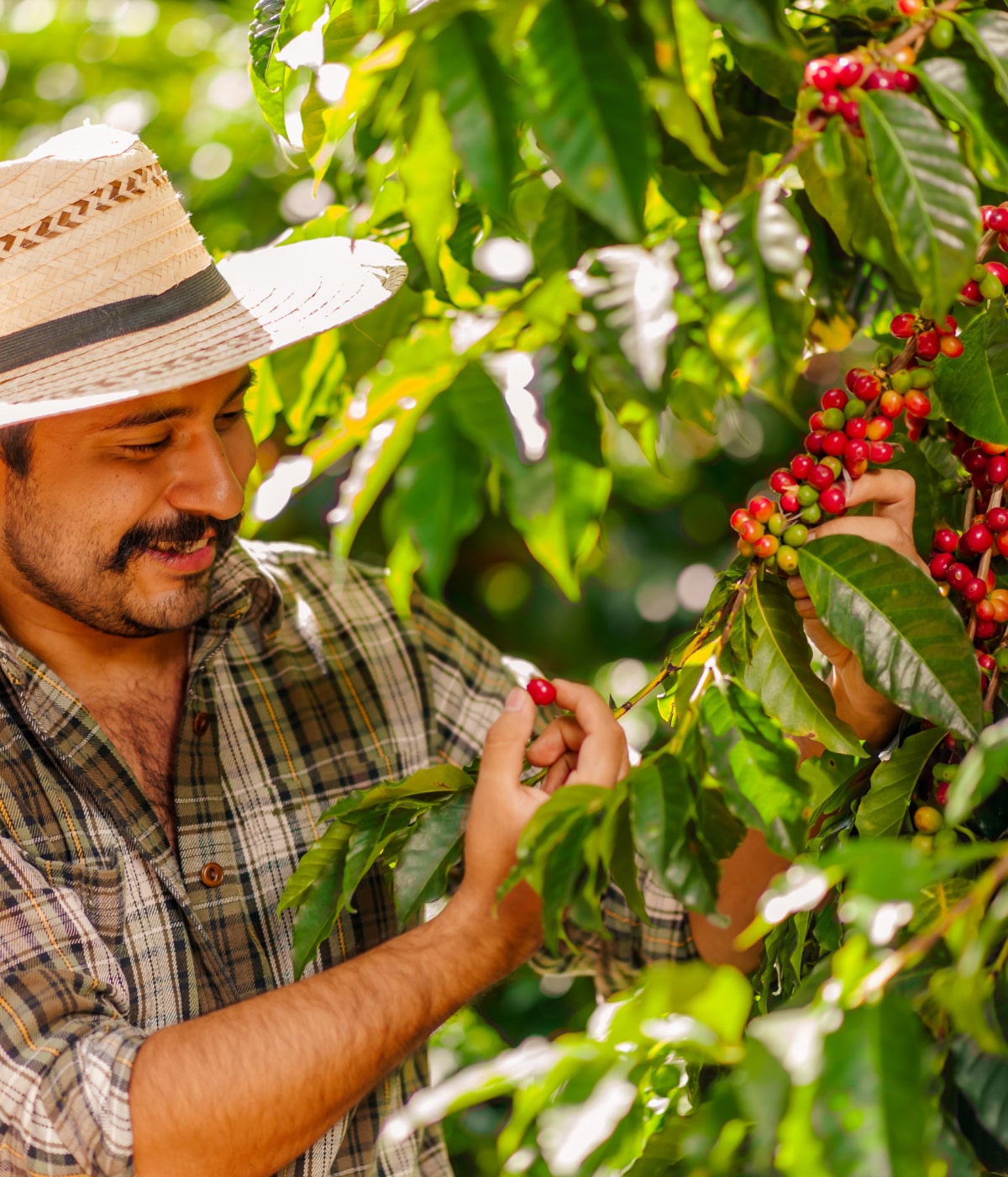 Manufacturing in Colombia: Complete Setup Guide